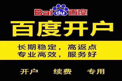 百度竞价广告：案例分析，教你如何精准投放